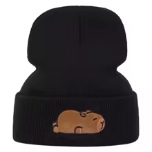 knitted hat, bean hat, outdoor winter hat embroidered ski hat