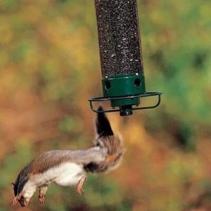 Proof Bird Feeder