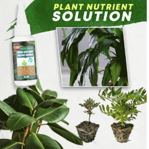 Get 49% OFF the 2023 Hot Sale Plant Nutrient Solution with BUY 3 GET 2 FREE