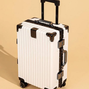 Two Tone Carry-on