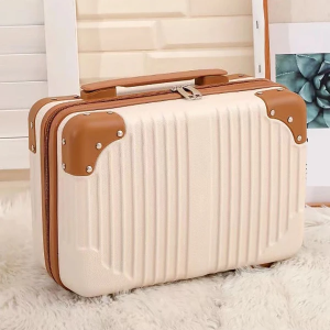Two Tone Portable Travel Carry-On