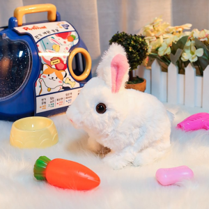 Bunny Toys Educational Interactive Toys Bunnies Can Walk and Talk