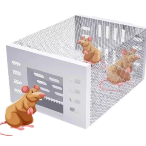Automatic Continuous Cycle Mouse Trap