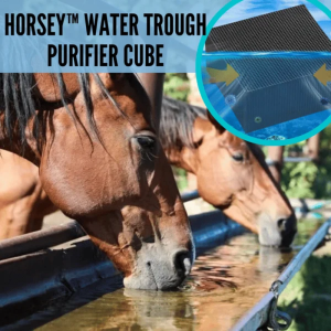 Manger Water Filter Cubes Suitable For Livestock Tanks,Fish tanks