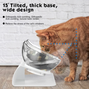 15°Tilted Double Elevated Cat Bowls with Raised Stand