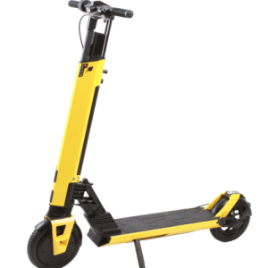 SUNNIGOO ES-T1 350w Removable battery Electric Scooter Folding Electric Scooters For Adult