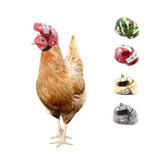 Amazon hot selling creative cross-border new pet products protection chicken helmet hen hard hat bird hat headgear