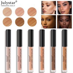 Concealer Waterproof Sweatproof Long Lasting