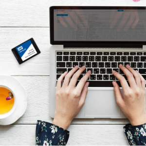 WD Western Digital Solid State Drive 250G 500G 1T 2T 4T Computer SATA3 Blue Disk Blue Series SSD