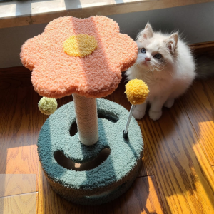 Cat Climbing Frame Small Turntable Cat Scratching Board Toys