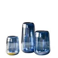 RTS Modern light luxury hydroponic growing systems home decoration glass vase  pay later