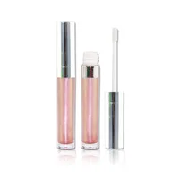 High Quality Private Label Sliver Top Tube No Logo No Label No Brand 4 Colors Shinning Glitter Clear Lipgloss