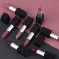 Private label high pigment long lasting waterproof makeup lipstick
