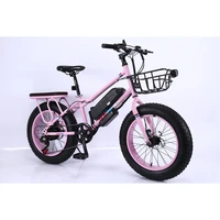 2019 Best Selling Fat Tire Electric Bicycle 48v Electric Mountain Bike Front Disc Brake Electric Bike