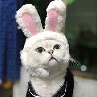 Best selling cheap price cotton lovely cute rabbit ears cosplay wig hat cap for pet cats dogs