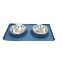Pet Dog Bowls 2 Stainless Steel Dog Bowl with No Spill Non-Skid Silicone Mat + Pet Food Scoop Feeder Bowls for Feeding Dogs Cats