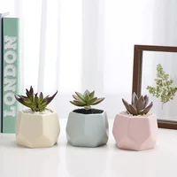 Nordic style indoor colorful ceramic hexagon small succulent plant pots cactus pots