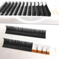 Classic lashes & volume eyelashes individual eyelash extensions