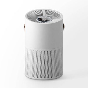 Air Purifier with True Hepa Filter,Portable Odor Allergies Eliminator for Home Smokers Smoke Dust Pets Desktop Air Cleaner