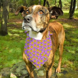 Pet saliva scarf Halloween dog cat printed scarf  triangular scarf pet scarf