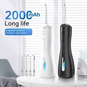 Portable dental cleaner