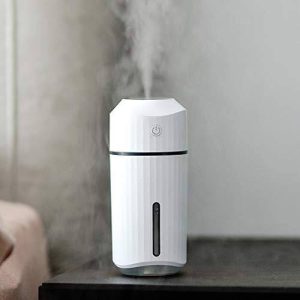 Lecai LED large capacity 320ml humidifier sprayer battery model