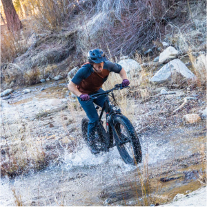 Hiboy P6 Fat Tire Electric Bike