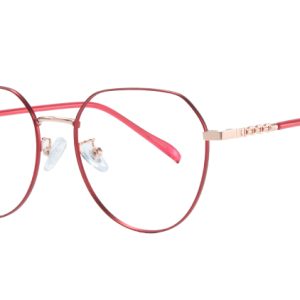 100315 Geometric Eyeglasses