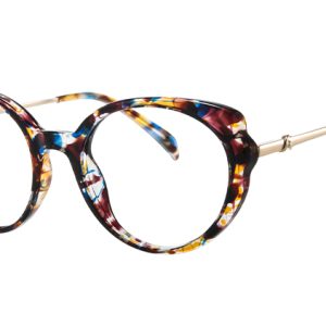 200858 Round Spring Hinge Eyeglasses