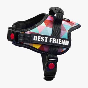 Dog chest strap big dog collar leash undershirt clothes with night reverse Light Pet Products