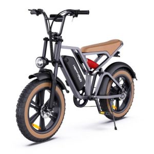 HAPPYRUN G60 750W 18AH electric bicycle with LCD digital display 20-inch tires, European regulations- black