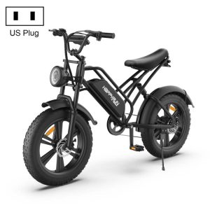 HAPPYRUN G50 750W 18AH electric bicycle with LCD digital display 20-inch tires, US regulations (black)
