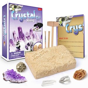 DIY Exploration Dig Archaeological Fossils and Crystal Toys