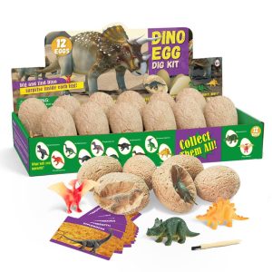 Dinosaur Eggs Archaeological Excavation Toys