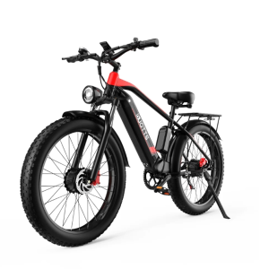 DUOTTS F26 Electric Bike