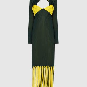 A green dress Bottega Veneta